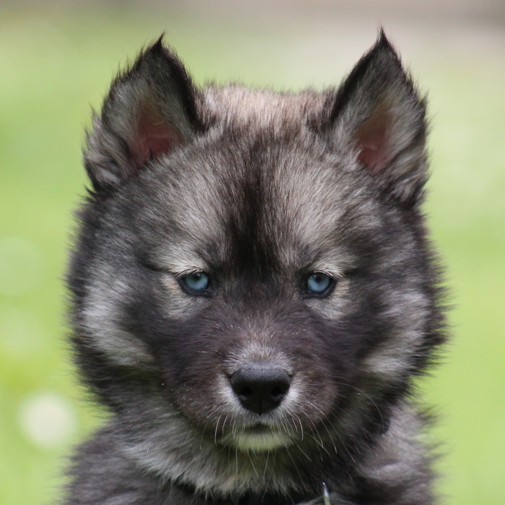 evolution minuit 7sem