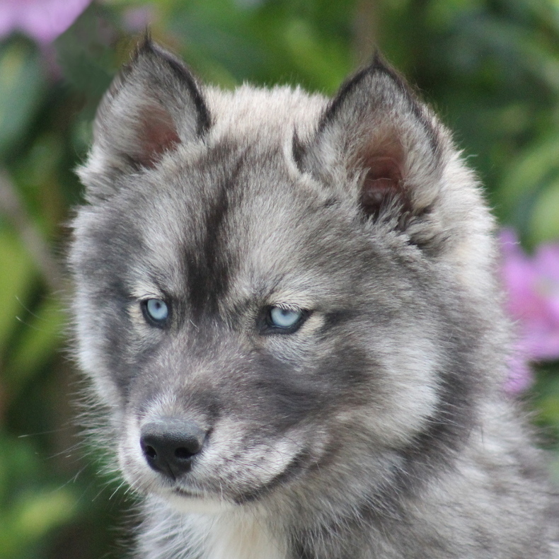 evolution minuit 8sem