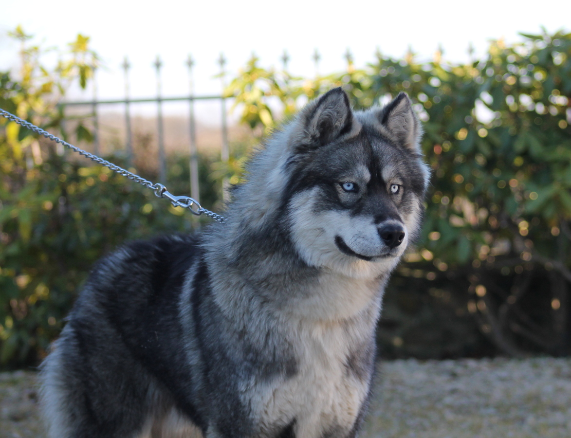 liubovs minuit 10 mois