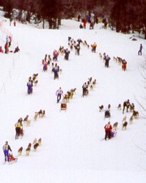 Départ en ligne au Aillons