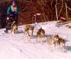 Arrivée du team Liubov's
