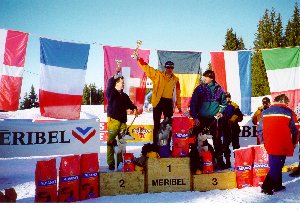 Podium 6 chiens Nordiques