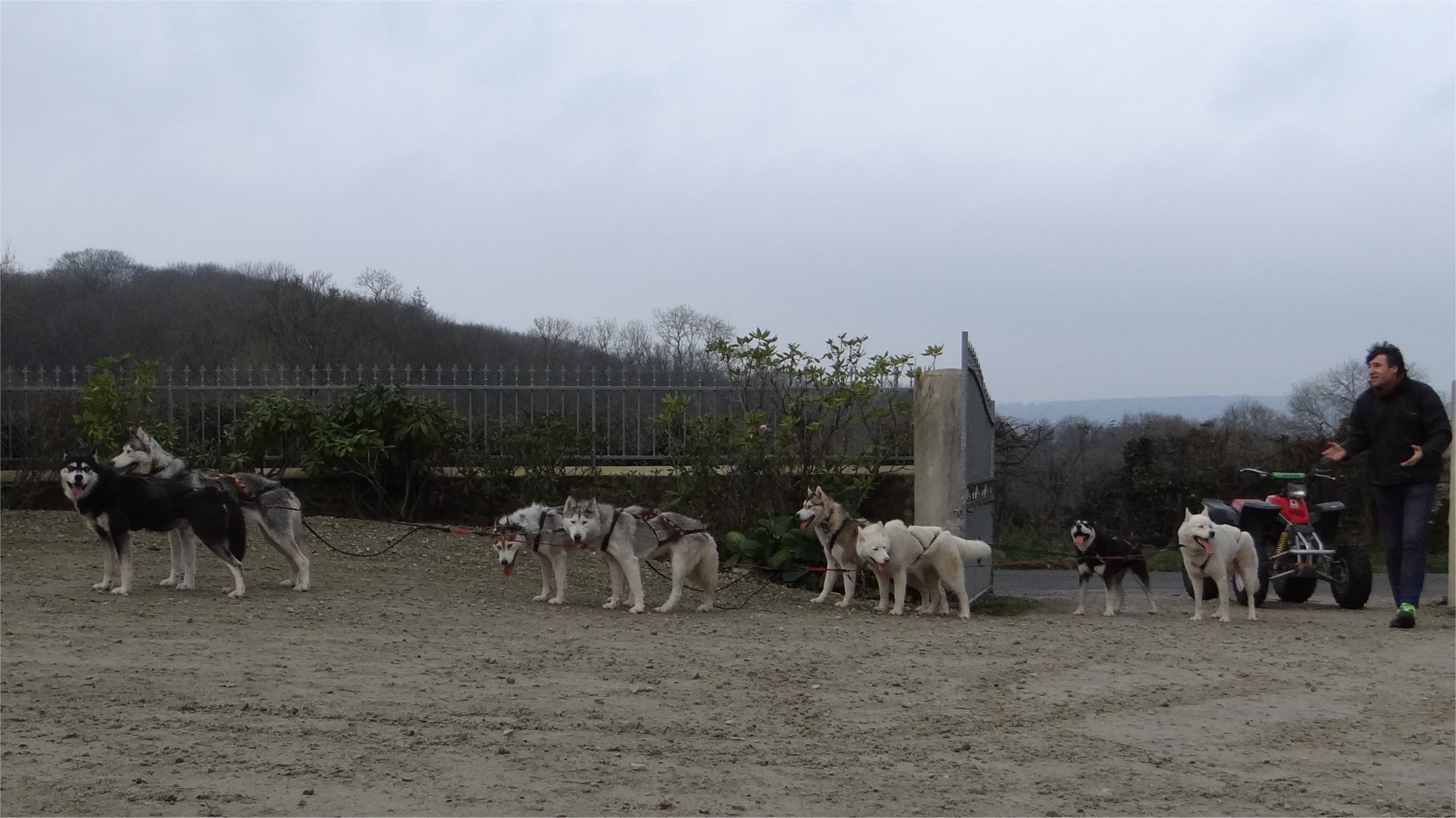team8-01-01-2015-8