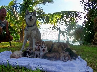 Liubov's Anaok et ses BB