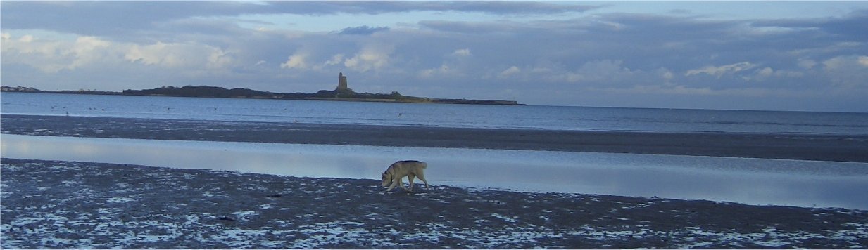 ballade avec Liubov's By Nutak